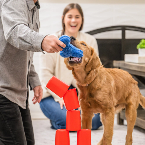 A dog grabs one of the included toys next to a toppling tower of cups
