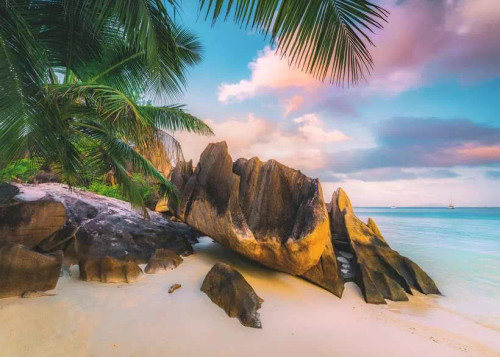 palm tree leaning over rock and white sand beaches