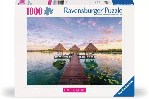 Front of puzzle box for Tropical retreat