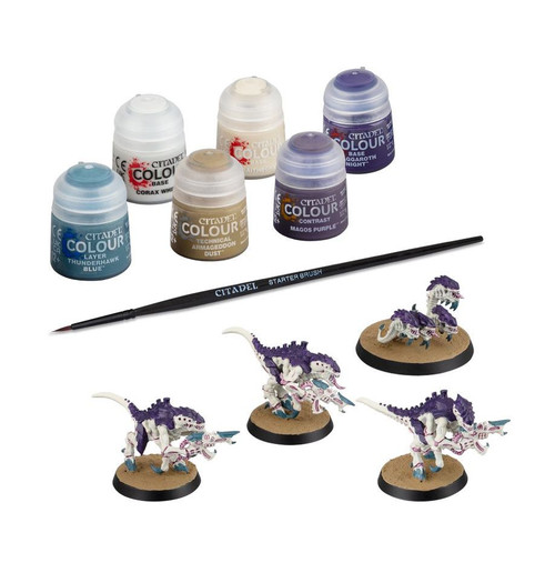 Included paints, brush and miniatures