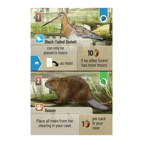 close up of a forest shuffle card