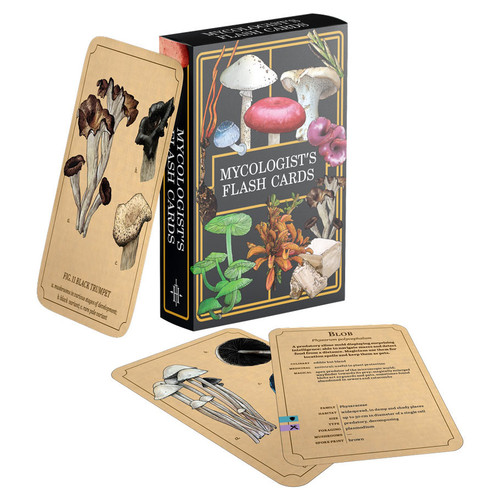 the card box with 3 cards displaying front and back with mushrooms and the information