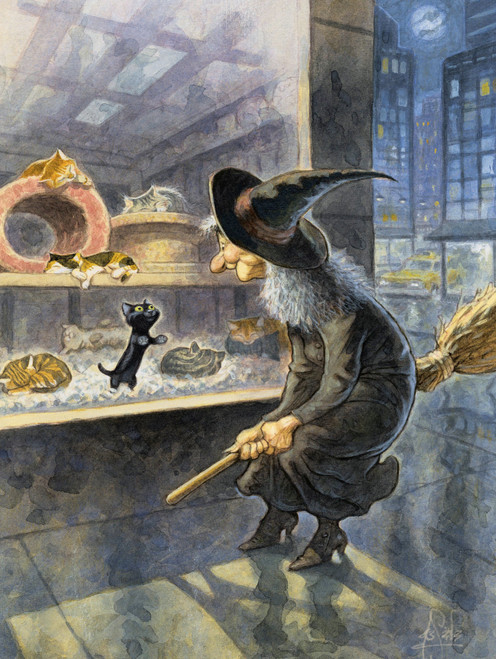 a witch on a broom looking at a kitten in a pet shop