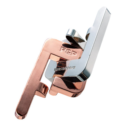 Metal puzzle comprising two P shaped metal pieces