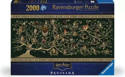 Puzzle box