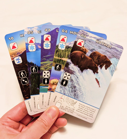 Five cards fanned in a hand