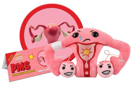 The plush uterus with a human uterus image behind the plush