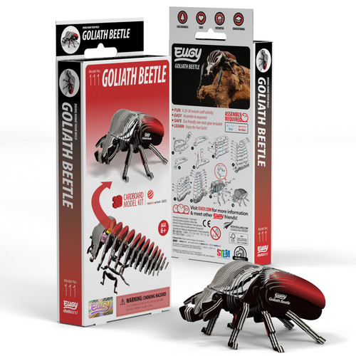 the packaging red with the assembled beetle