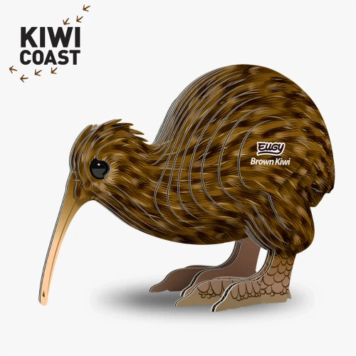Completed kiwi model