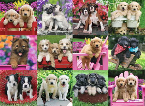 Puppy Pals 500pc image featuring a collage of photographs, each with a pair of puppies