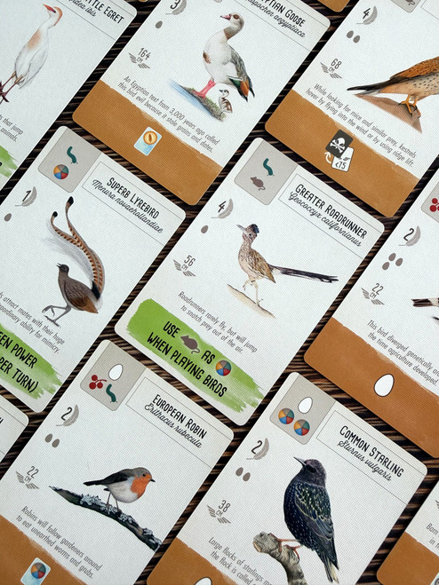 Example cards including Greater Roadrunner, European Robin, and more