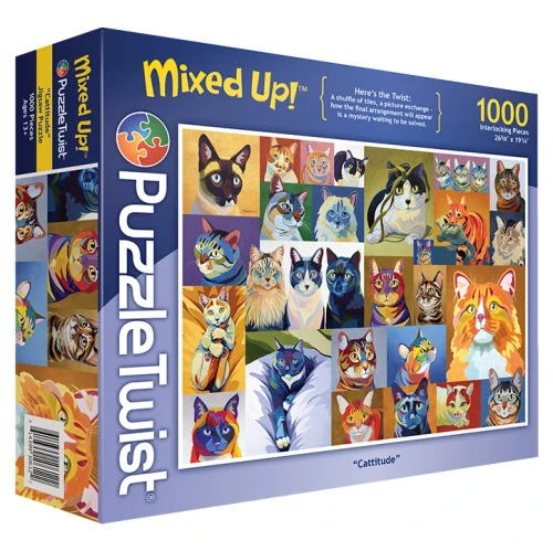 Puzzle box