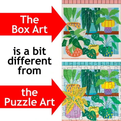 Example differences between the puzzle and the box image