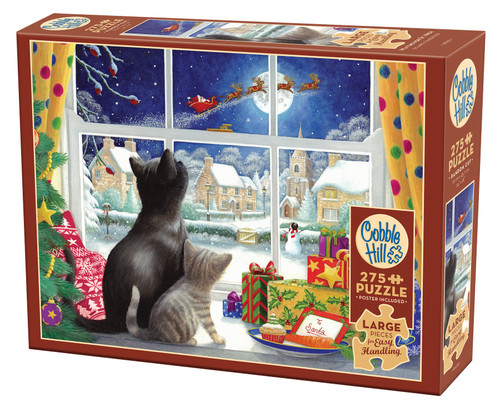 front of puzzle box