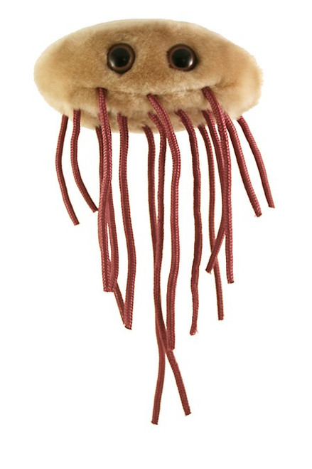 Image of Giant Microbes E. coli plush