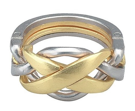 Hanayama Ring Puzzle (Level 4) puzzle image