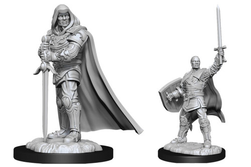 Human Paladin Male W13—D&D Nolzur's Marvelous Miniatures W13 , resting hands on the sword with the point in the ground, Sword raised above his head.