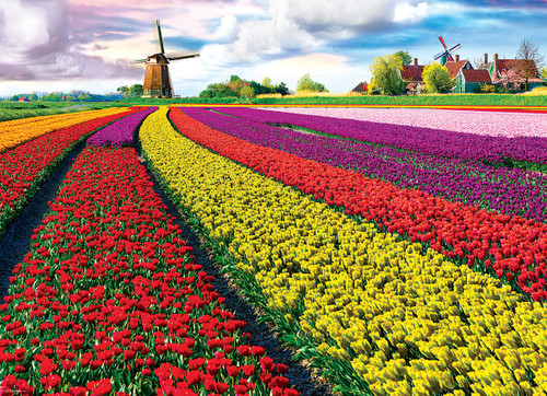 Tulip Field - Netherlands 1000pc