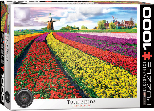 Tulip Field - Netherlands 1000pc Front of puzzle box