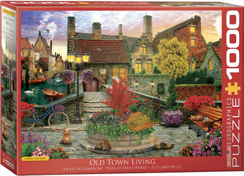 Old Town Living 1000pc front of box 