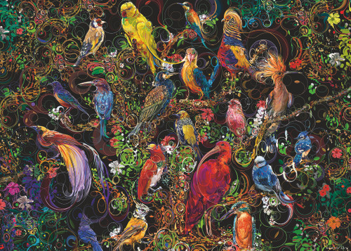 Birds of Art swirling art on black background and multi types of bright prints 