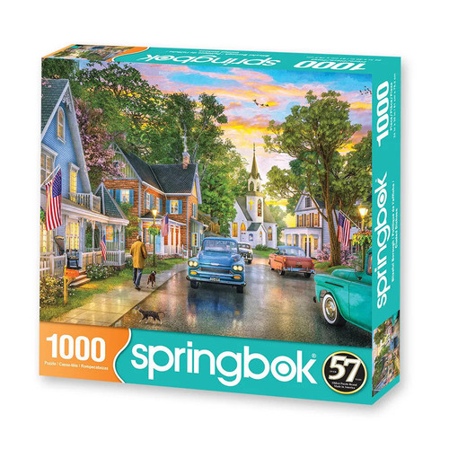 Blissful Borough 1000pc front cover of puzzle with teal sides