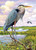 Heron great blue heron in wetlands puzzle image