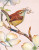 Carolina Wren Mini puzzle image, featuring a Carolina Wren bird on a branch and flowers