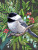 Black Capped Chickadee puzzle image, depicting a black capped chickadee on a branch