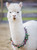 Alpaca Puzzle Moment image, depicting a white alpaca with a floral necklace