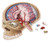 Human Brain Anatomy Jigsaw Puzzle 