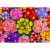 Blooming Flowers wooden puzzle completed image