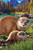 Puzzle image, depicting an adult and baby otter