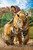 Puzzle image, depicting a young tiger nuzzling into the side of an adult tiger