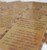 sample cards