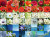 Completed puzzle with red flowers individually captured and displayed in 2 rows, followed by 2 rows of white, and 2 rows of blue