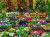a green house of tiered flower pots