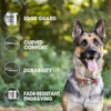 Noise-Free Slide-On Personalized Pet ID Tag