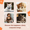 Star Moon Cat ID Tag for Cats & Matching Necklace for Cat Moms