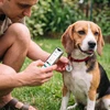 Leash King Smart QR Code Pet ID Tag for Dogs & Cats – 1 or 2-Year Premium Included