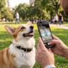 Leash King Smart QR Code Pet ID Tag for Dogs & Cats – 1 or 2-Year Premium Included