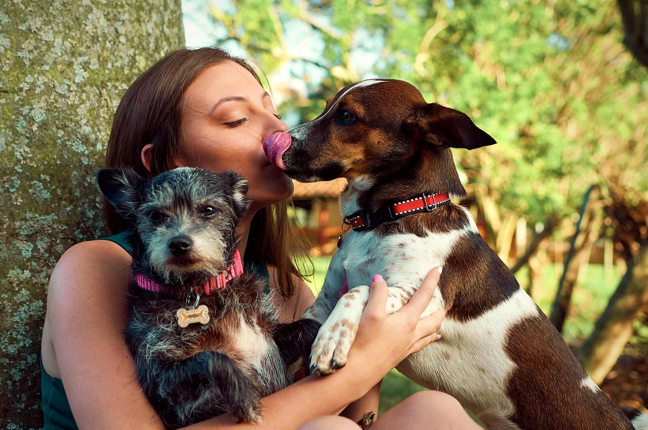 Woman hugging her two dogs, one wearing a rose-gold Leash King bling bone tag engraved Bella