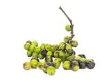BLACK PEPPER ESSENTIAL OIL 10 ML AUSTRALIAN BODY PIPER NIGRUM FRUIT OIL