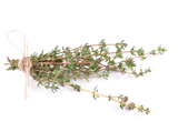 THYME STEM & LEAVES