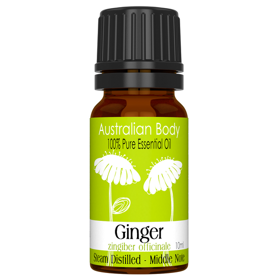 Ginger - 100% Pure Essential Oil (10ml)