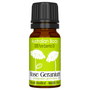 Rose Geranium - 100% Pure Essential Oil (10ml)