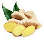 GINGER - ZINGIBER OFFICINALE