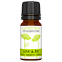 LOVE & JOY 100% PURE ESSENTIAL OIL BLEND - BERGAMOT, ORANGE, LIME, PATCHOULI, ROSE GERANIUM