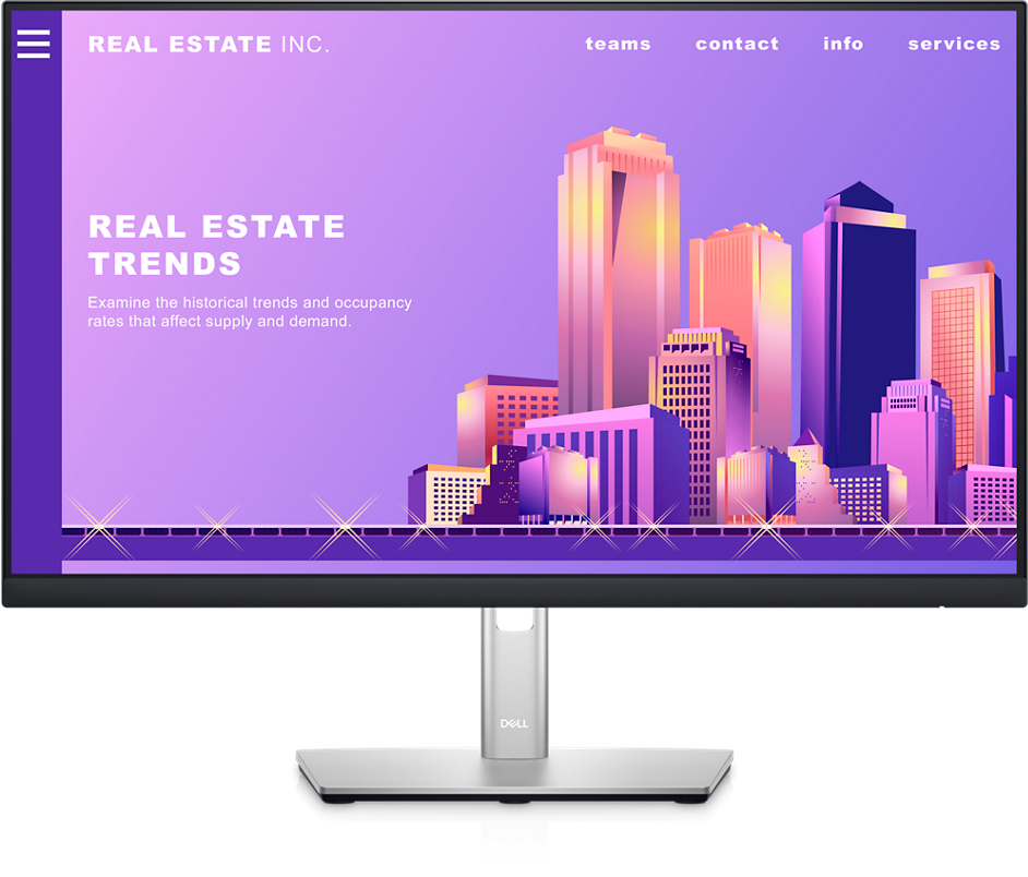 Dell 23.8 Inch IPS LED HDMI DP VGA USB Monitor (P2422H)