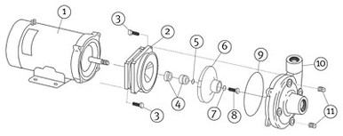 Button Repair Kits for 13/16 Hex Drive - 5 Pack (TD BRK-1316) - Get It At  GUS